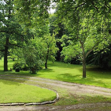 Ferienwohnung Goslar Mit Parkblick Am Harz Екстериор снимка